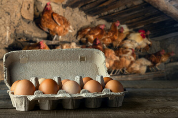 carton box with chicken eggs on table and hens on the roost as background