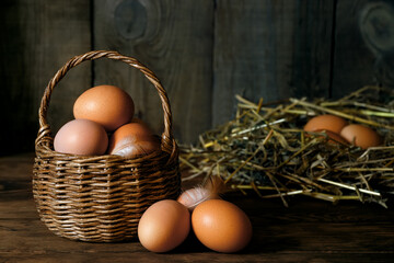 chicken eggs in wicker basket and in nest