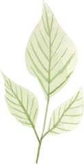 watercolor leaf minimal design 