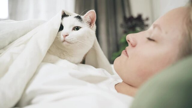 A teenager girl lies with a cat under a blanket, stroking a cat.