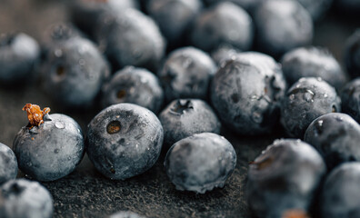 Wet ripe blueberries close up, macro shot.