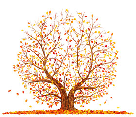 Obraz premium Autumn tree with falling leaves isolated on white background vector illustration.