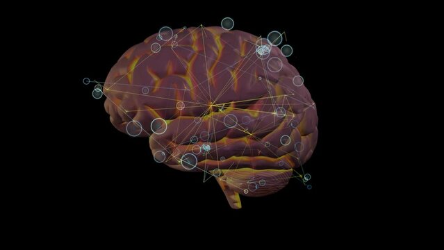 Neuroplasticity. Rewiring brain. Network of linked lines, dots moving around human brain. 3d animation render