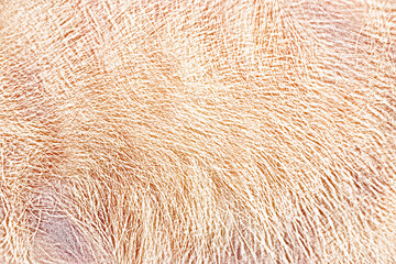 Abstract texture colour with retro material wallpaper paint.