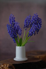 Blue mascari flowers in a white ceramic stack