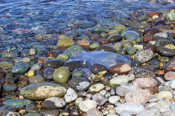 Jellyfish on the seashore on the rocks. Dangerous jellyfish in the sea