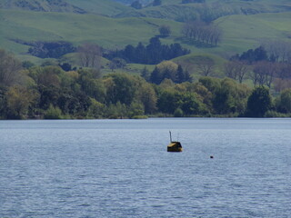 Boat sailing by green hills in New Zealand