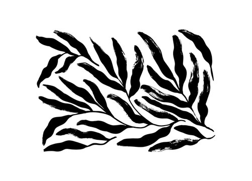 Tropical leaves in naive style. Dry brush drawn branches with long rounded leaves. Black paint vector illustrations set. Botanical silhouettes isolated on white background. Rustic style drawing. 