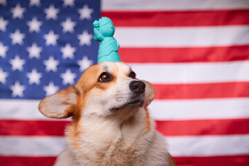A corgi dog with the Statue of Liberty in front of the American flag. Election day. Midterm...