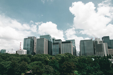 Tree, building and sky