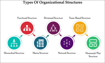 Types Of Organizational structures with icons in an infographic template