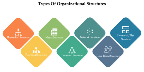Types Of Organizational structures with icons in an infographic template