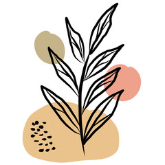 Aesthetic Bohemian Botanical  Illustration