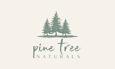 evergreen pine tree logo vintage with river creek vector emblem illustration design