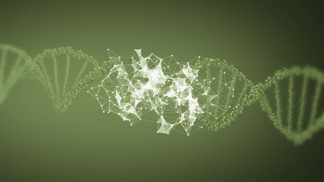 DNA destruction due to gene mutation or experiment