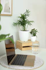 Beautiful houseplants, laptop and glass of water on white table indoors