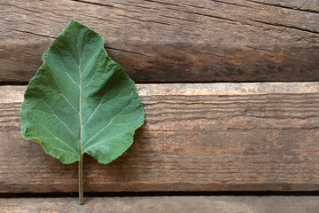 Fresh green burdock leaf on wooden table, top view. Space for text