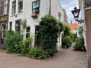 Fototapeta na wymiar LEIDEN, NETHERLANDS - JULY 22, 2022: Beautiful view of city street with buildings and plants on sunny day