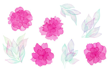Fototapeta premium Watercolor set of pink flowers and leaves, isolated on transparent background