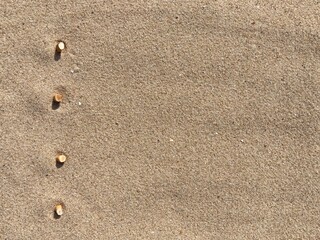 Fototapeta na wymiar Four cigarette butts arranged as bullet points in sand on beach