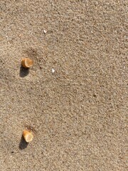 Fototapeta na wymiar cigarette butts arranged as bullet points in sand on beach