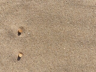 two cigarette butts arranged as bullet points in sand on beach