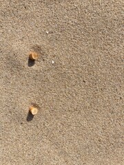 two cigarette butts arranged as bullet points in sand on beach