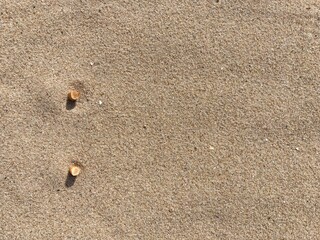 Fototapeta na wymiar two cigarette butts arranged as bullet points in sand on beach