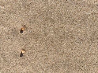 two cigarette butts arranged as bullet points in sand on beach