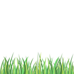 Fototapeta premium Green Grass Meadow Border Illustration Pattern Spring Or Summer Lawn Lawn Grass Background