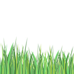 Obraz premium Green Grass Meadow Border Illustration Pattern Spring Or Summer Lawn Lawn Grass Background