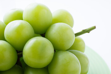 シャインマスカット　白バック