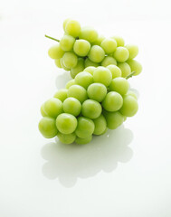 シャインマスカット　白バック