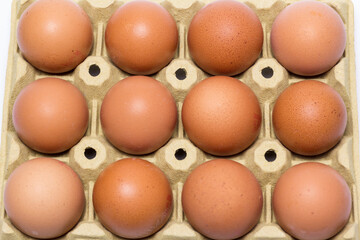 Docena de huevos en la huevera de cartón