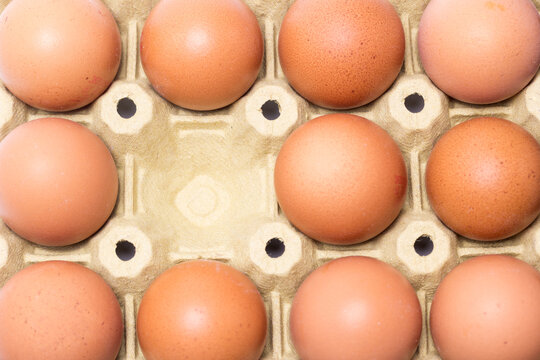 รูปภาพHuevo – เลือกดูภาพถ่ายสต็อก เวกเตอร์ และวิดีโอ8,753 | Adobe Stock