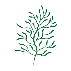 Green leafy plant with decorative art isolated vector illustration