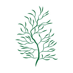 Green leafy plant with decorative art isolated vector illustration