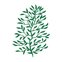 Green leafy plant with decorative art isolated vector illustration