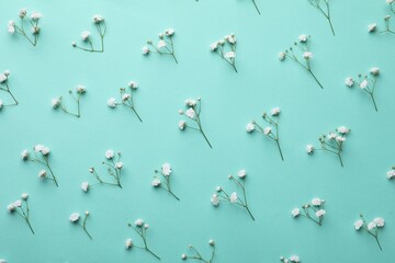 Beautiful gypsophila flowers on turquoise background, flat lay