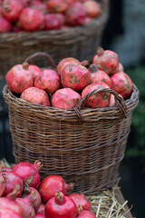Harvest of ripe pomegranate on dry straw and wicker baskets at outdoor farmers market in Tbilisi Georgia. Vegetarian healthy food