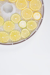 close-up, on a white background, with a place for an inscription, lemon and lime are cut on round grids for drying