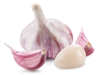 Head of young garlic with garlic cloves isolated on white background.