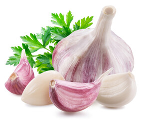 Head of young garlic with garlic cloves and parsley leaf isolated on white background.