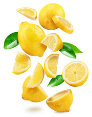 Ripe lemon fruits, slices and leaves flying in air white background. File contains clipping paths.