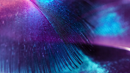 Abstract macro background from feathers.