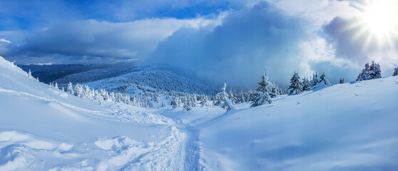 Panoramic landscape of a snowy forest in the mountains on a sunny winter day. Ukrainian Carpathians, near Mount Petros.