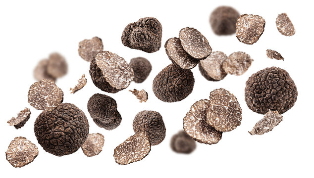Summer truffles and truffle slices levitating or flying in the air on white background.