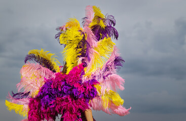 woman in bright colorful carnival costume