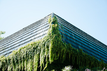 Costruzione simmetrica in italia, a venezia, palazzo all'interno della Biennale