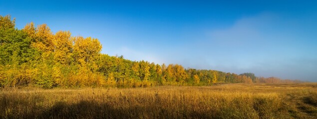 Panoramic view of a green field against trees in Lois Hole Centennial Provincial Park, Canada